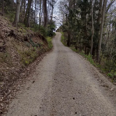 Holiday Apartement Sentjur * Šentjur