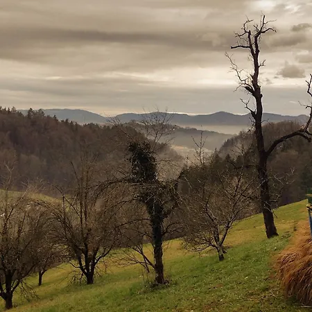 Apartamento Holiday apartement Sentjur *