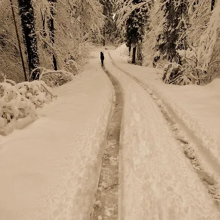 Holiday apartement Sentjur Šentjur