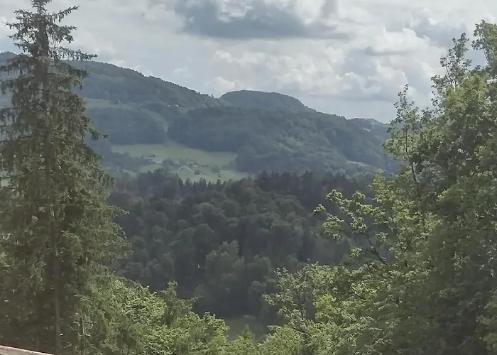 アパート Holiday Apartement Sentjur