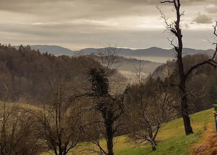 アパート Holiday Apartement Sentjur *