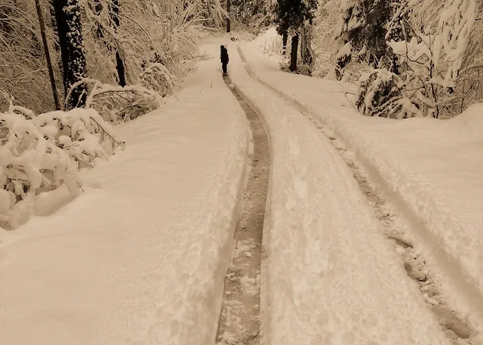 Holiday Apartement Sentjur Šentjur